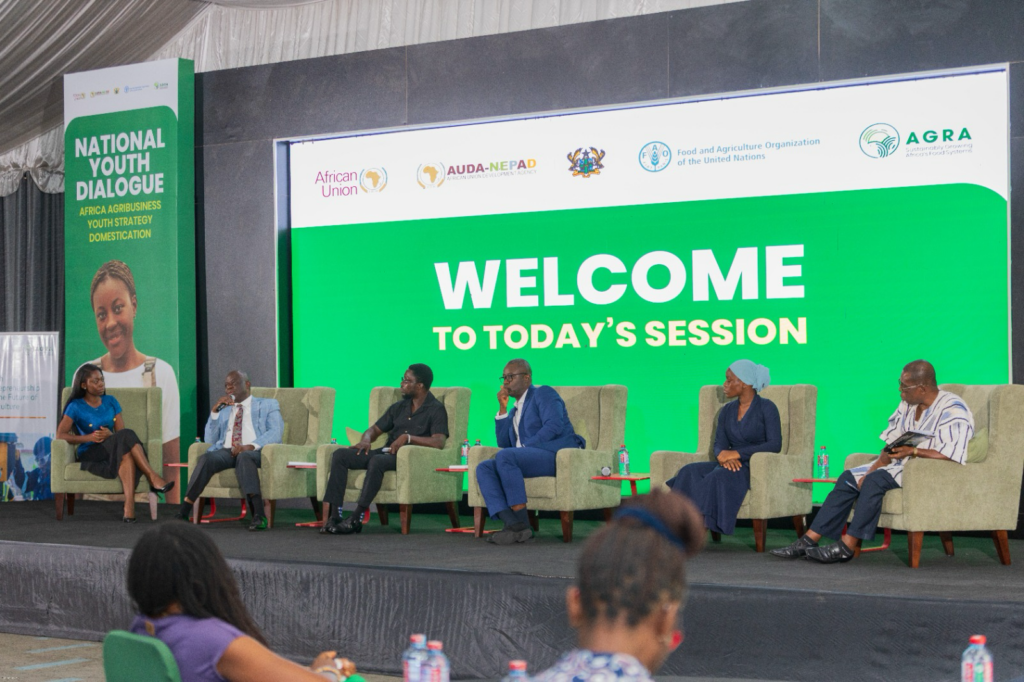 Ghana Youth Demand Bigger Stake In Food Systems Investments