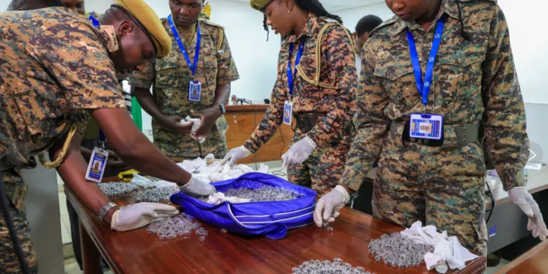 Chinese national charged for trying to smuggle 2,000 ants from Kenya