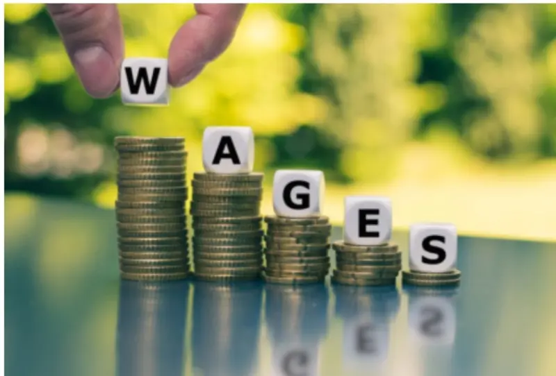 Ghana's public sector pay exceeds ECOWAS threshold - Finance Minister