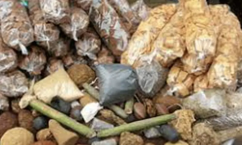 Herbal medicine is not main cause of kidney disease - Expert