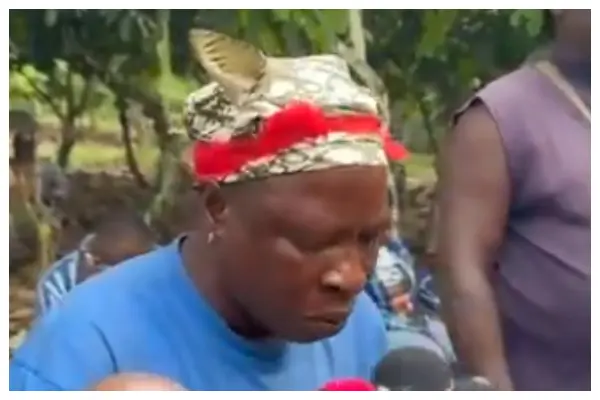 'I need to pay my son's fees but I can't' - Cocoa farmer on delayed payment