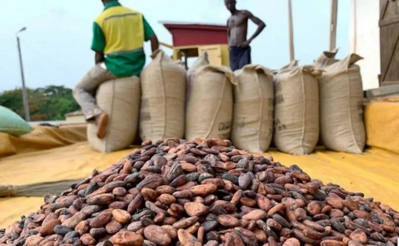 Minority Caucus visits Offinsomanhene to discuss cocoa price issues