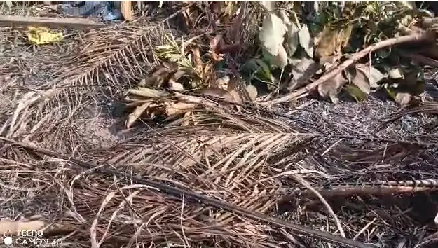 Police exhume body parts of woman allegedly killed by fetish priest at Awutu Bentum