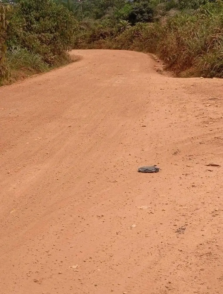 Prestea-Huni Valley Assembly Undertakes Spot Improvements on Aboso Enclave Roads