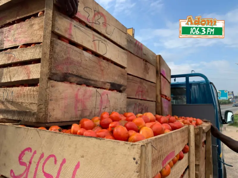 We buy from Burkina because ours rot fast - Tomato traders defend import dependence