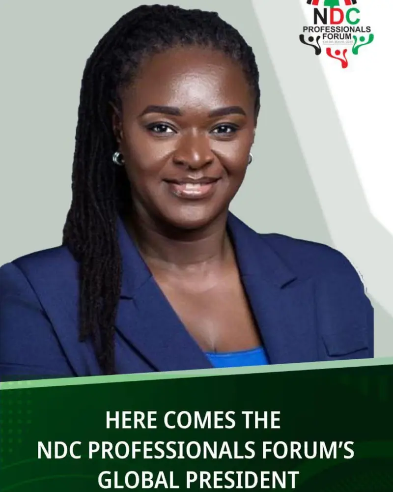 EPA CEO Prof Nana Ama Browne Klutse appointed Global President of NDC Professionals Forum