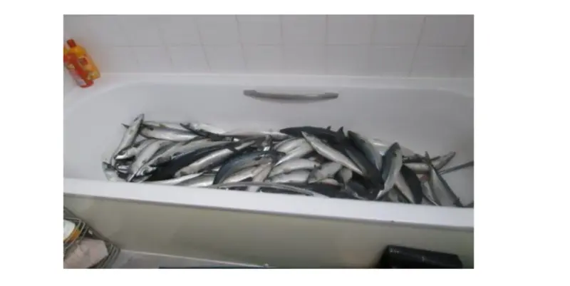 Ghanaian jailed in UK for processing 'koobi' from his residential flat