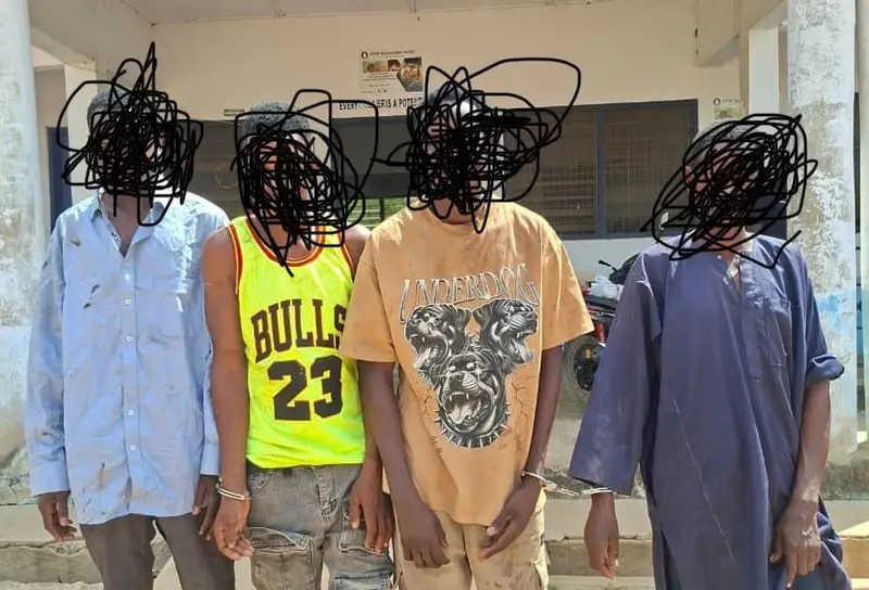 Northern Regional Police Command intensifies anti-drug operations, arrests 217 suspects