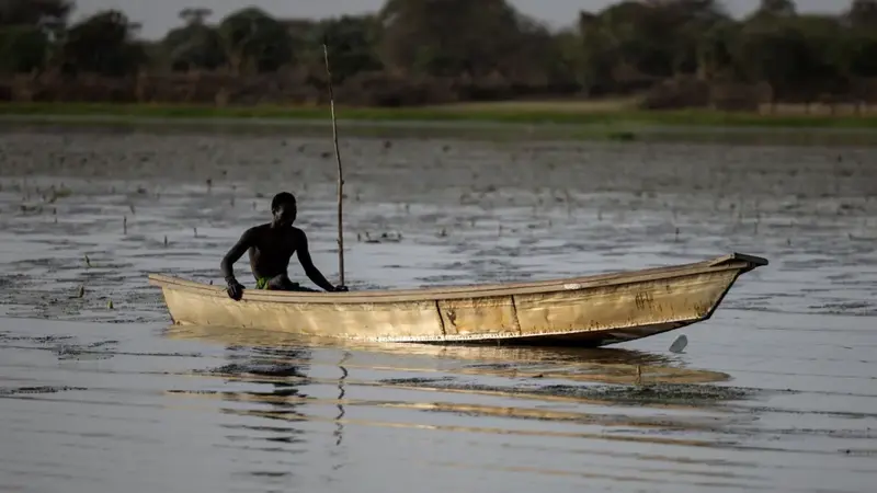 Dozens of Nigerian fishermen feared dead after Chad air strikes on Boko Haram