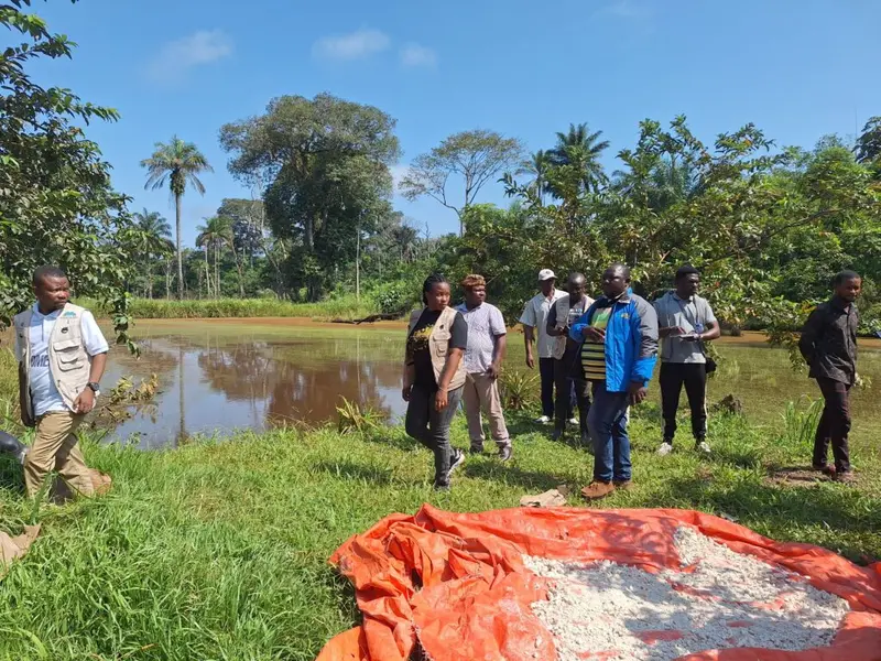 DR Congo hands over nearly 850,000 hectares of rainforest to indigenous and local communities