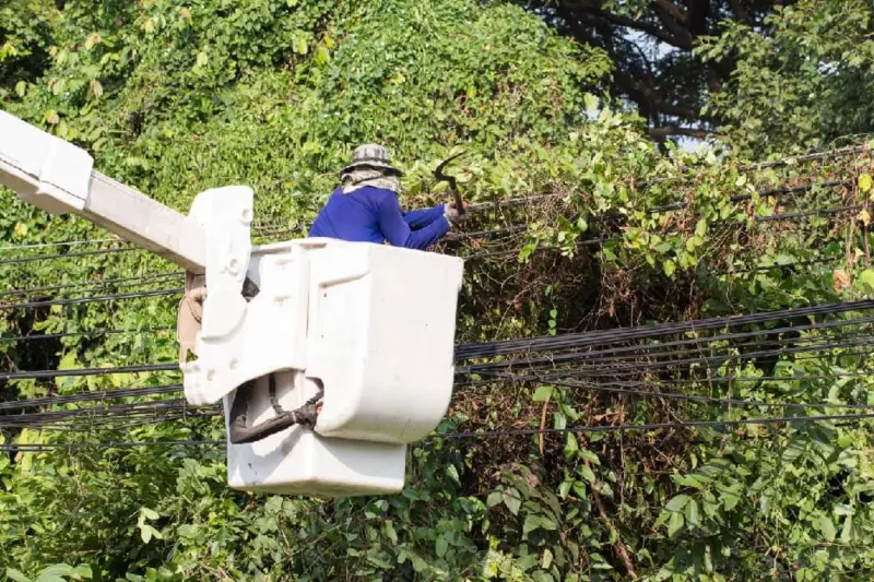 ECG launches major vegetation clearance drive to cut power outages in Ashanti Region