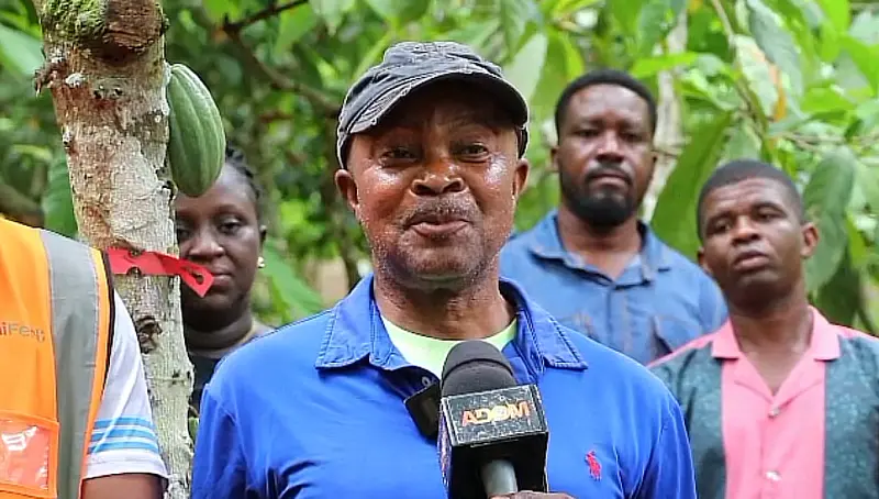 Ensure timely inputs, climate-smart support to cocoa boost productivity - COCOBOD urged