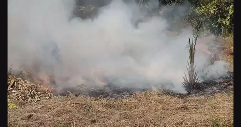 Farmers' burning practices deepen air pollution and environmental crisis in Ghana