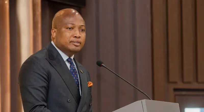 Government announces support package for South Africa evacuees