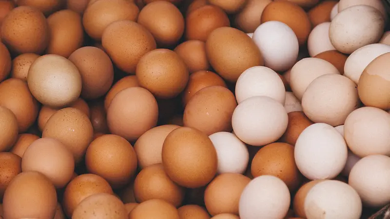 Gov't explores egg powder production to tackle glut