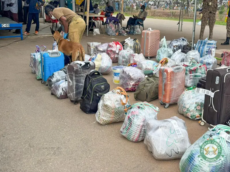 NACOC screens Hajj pilgrims with K-9 dogs at Tamale Airport