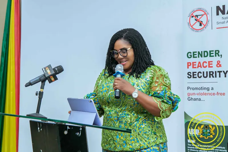 NACSA Seminar: Gender Minister demands an increased role for women to end gun violence
