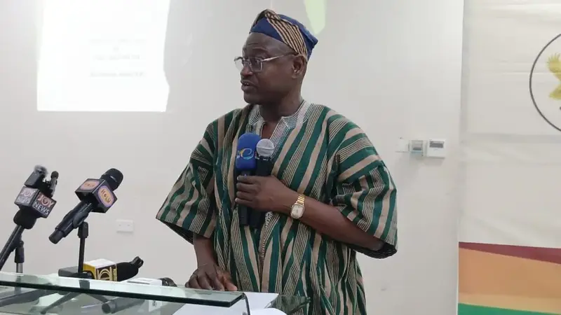 No progress on Jadema Rice Mill over a year after Mahama's promise