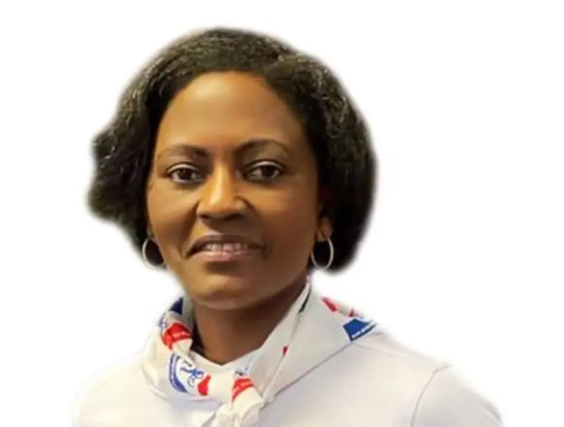 NPP-USA rejects new internal election guidelines, sticks to branch constitution