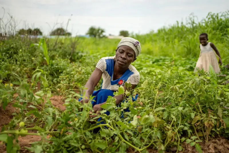 Nviron Hive unites with business community in reforestation drive in Northern Region