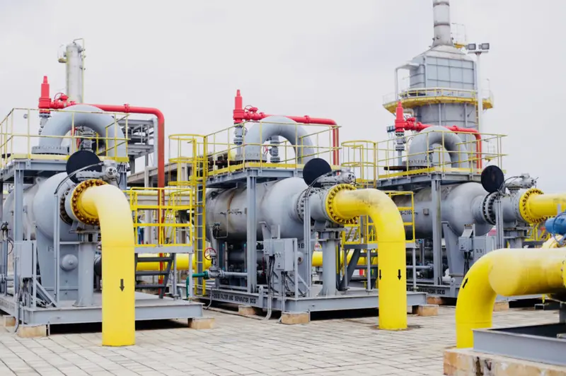 Review Petroleum Act to secure crude supply for TOR - expert urges