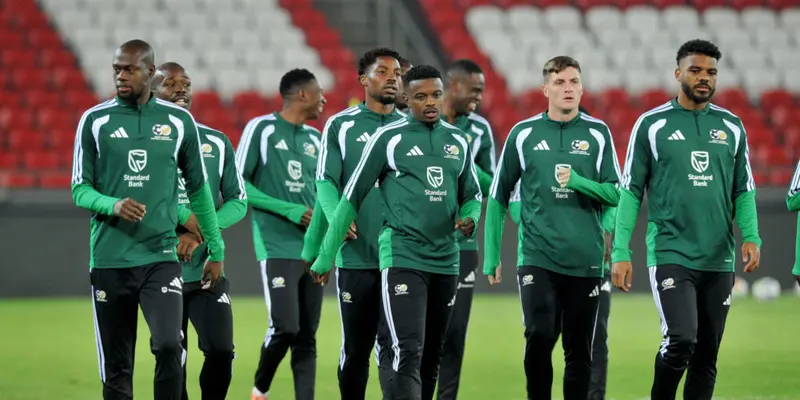 South Africa made to look like fools after World Cup visa issues, says minister
