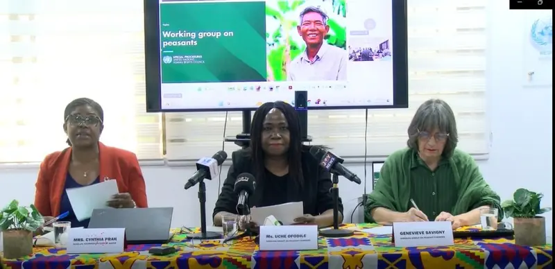 UN Working Group raises alarm over land, seed and livelihood crisis in Ghana's rural communities