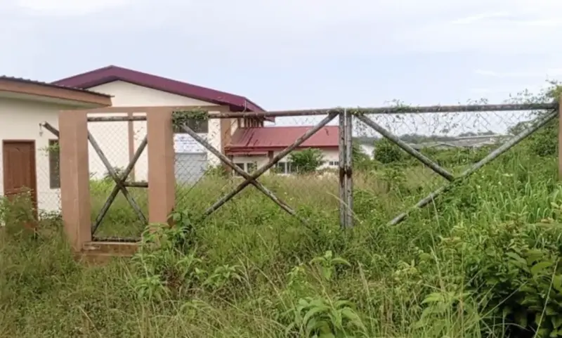 Weeds take over multi-million 1D1F starch factory in Assin South