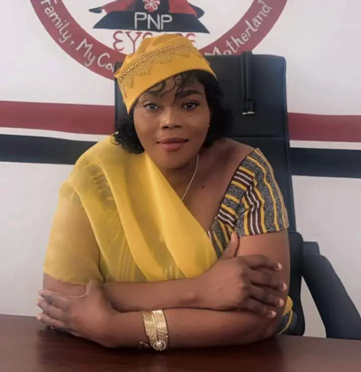 You cannot celebrate mothers while the girl child is under attack - PNP warns