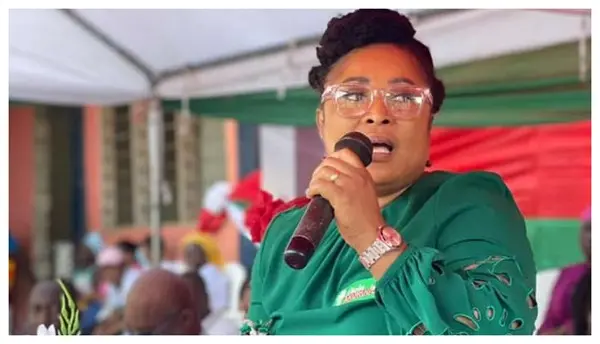 Dome-Kwabenya MP warns against sale of distributed fertilisers as farmers receive support