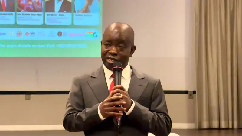 Litina Travel's Made-in-Ghana World Cup Expo draws hundreds in Boston