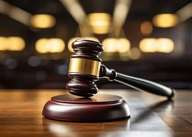 Defective charge sheet secured my client's freedom - Sedina Tamakloe's lawyer explains appeal victory