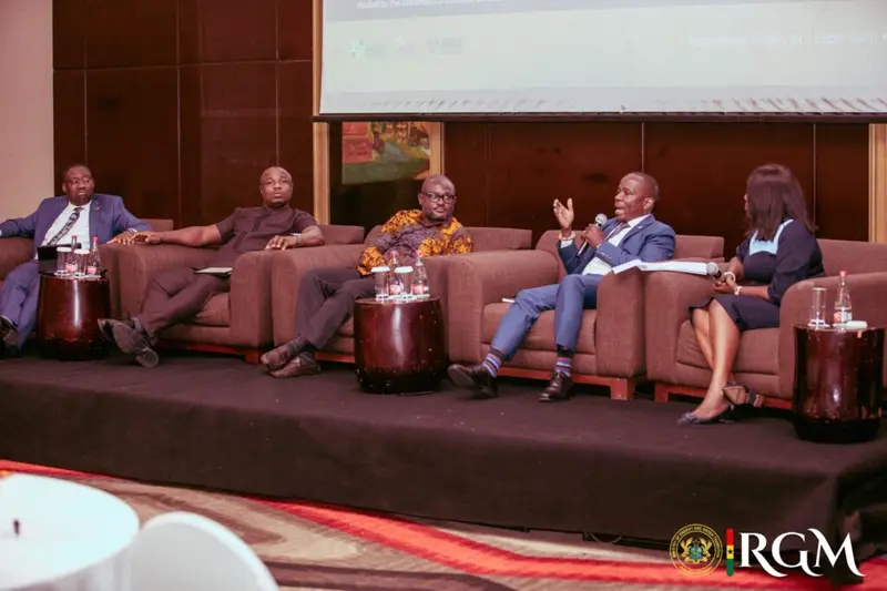 Financing key to unlocking Africa's energy potential - Jinapor