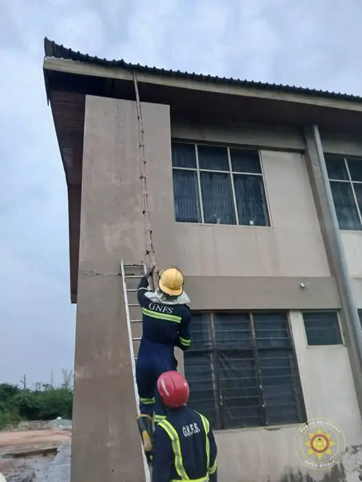 GNFS relocates bee swarm after student, teacher attacked at Vakpo Secondary Technical School