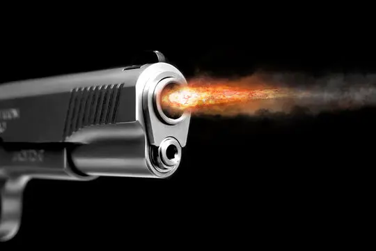 Interior Ministry extends deadline for firearm licence renewal to December 2026