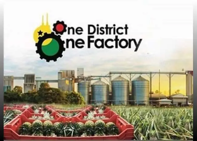Scrap 24-Hour economy, return to 1D1F - Oppong Nkrumah tells government