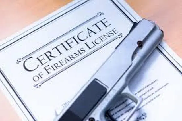 Security Analysts Call For Suspension Of Gun Licence Revocation