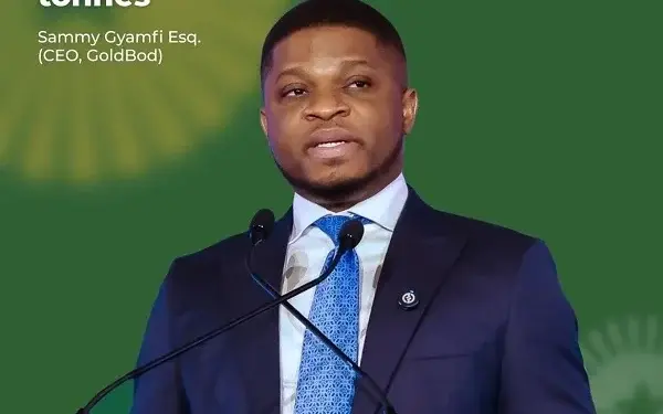 GoldBod generated GH¢970m in non-tax revenue in 2025 - CEO