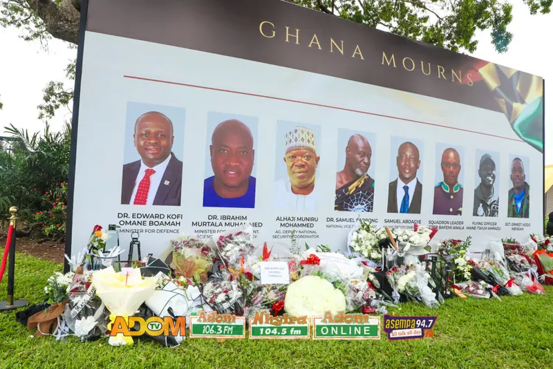NPP respects helicopter crash victims; protest wasn't meant to dishonour them - Salam Mustapha