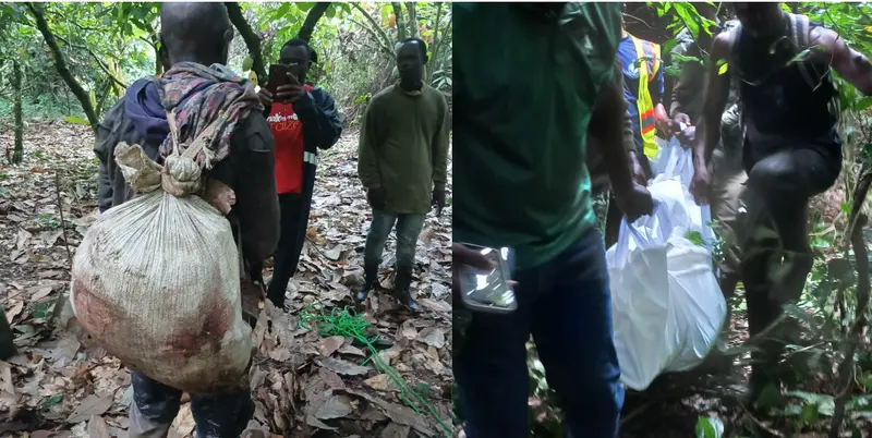 Poacher who allegedly shot wildlife guard at Kakum Park remanded