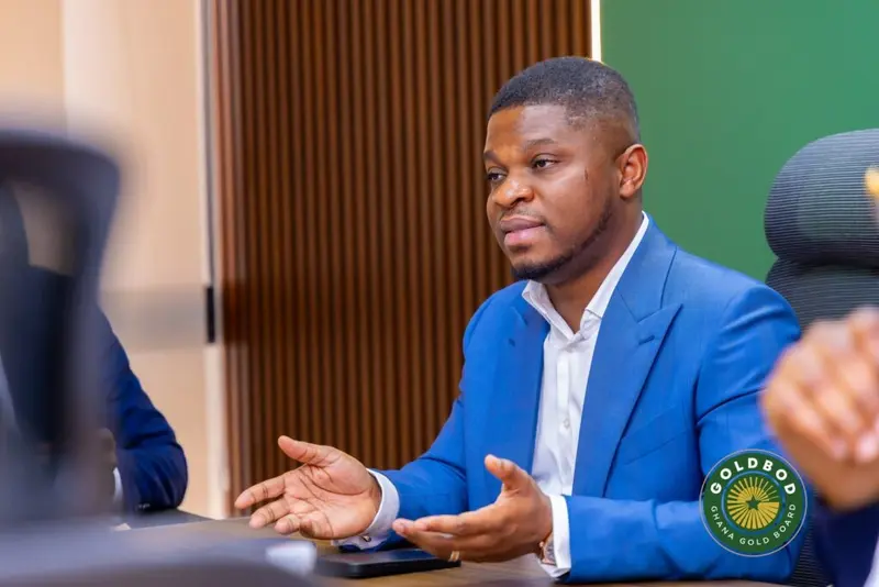 Poor formalisation of small-scale mining worsened galamsey crisis - GoldBod CEO
