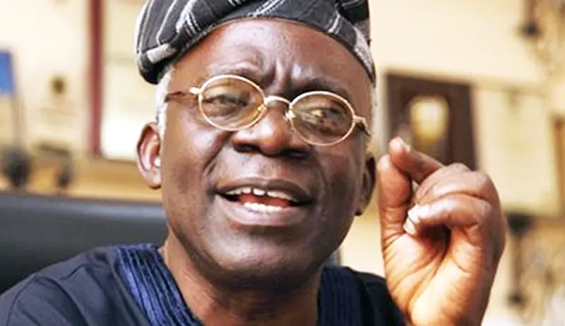 Sanction South African businesses over xenophobic attacks on Nigerians - Falana tells government