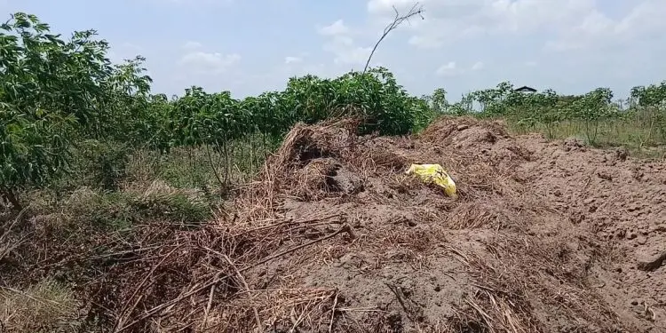 Sand-winning destroys over 50 acres of farmland at Tsumkpo