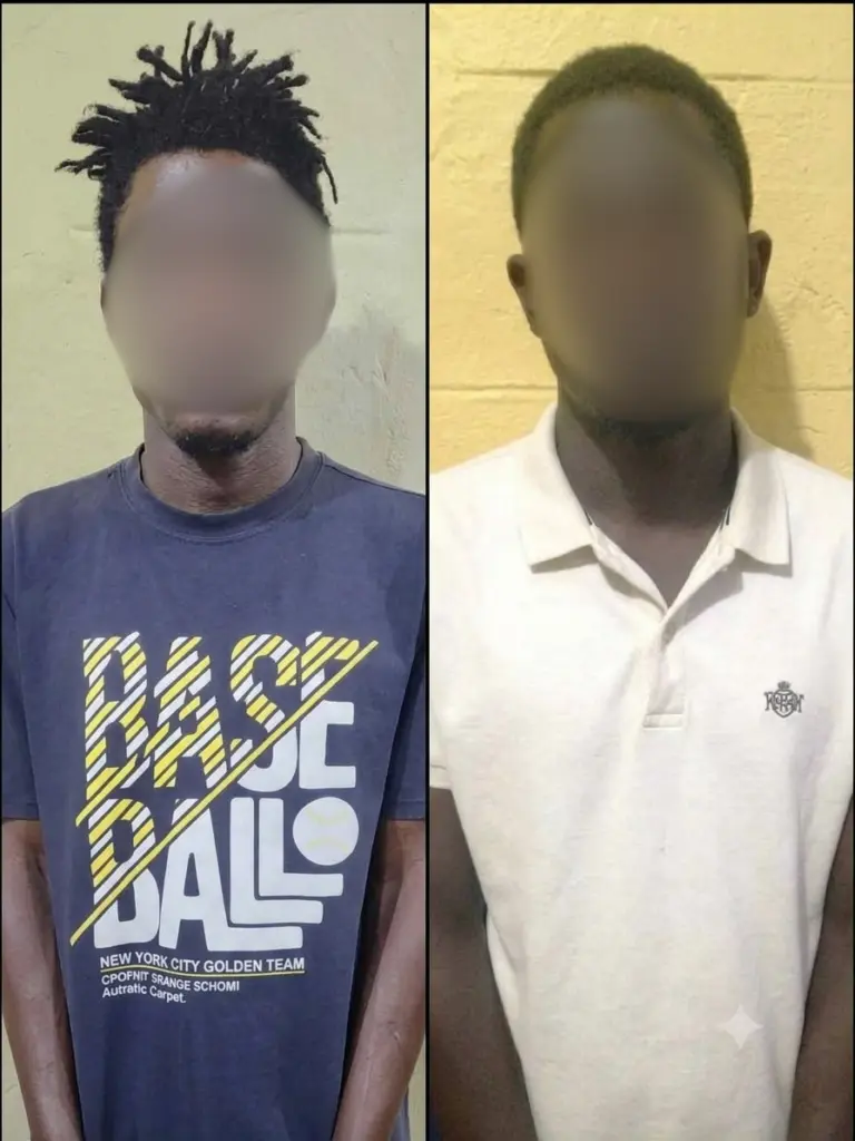 Two brothers arrested over alleged murder of 54-year-old man, shooting of wife at Tuba