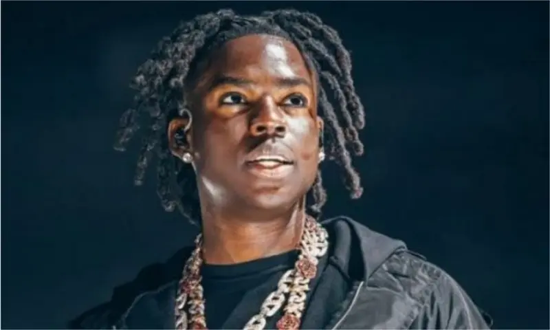 Why Afrobeats artistes shouldn't stick to what fans like - Rema