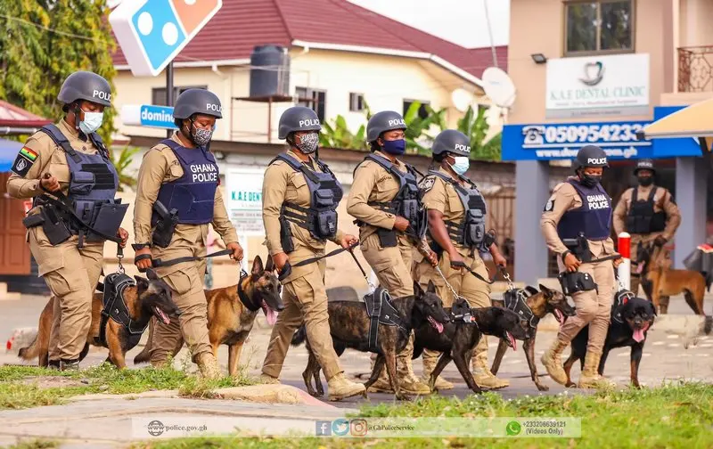 Why many prefer dogs for security - Analyst explains
