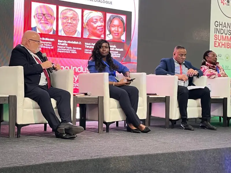 Denmark, Ghana must deepen green industrial partnership