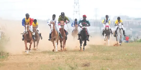'Families are going hungry' - Horse owners, jockeys raise alarm over Race Course demolition