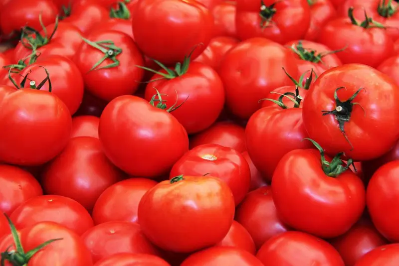 Fresh tomatoes record 158.3% price jump in August - GSS