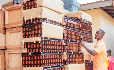 GES directs SHS and SHTS to stop turning away students over trunks and chop boxes
